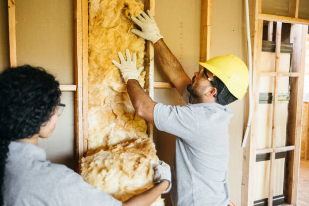 Best Insulation Inspection Services  in Badin, NC