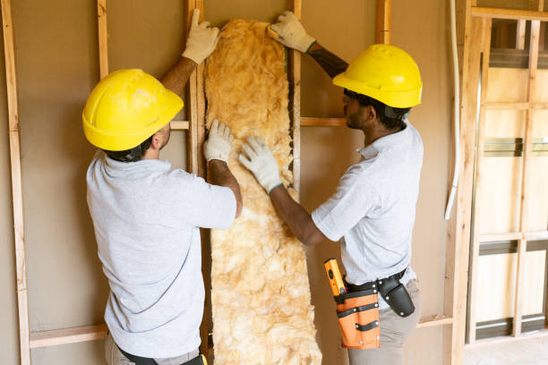Best Insulation Replacement Services  in Badin, NC